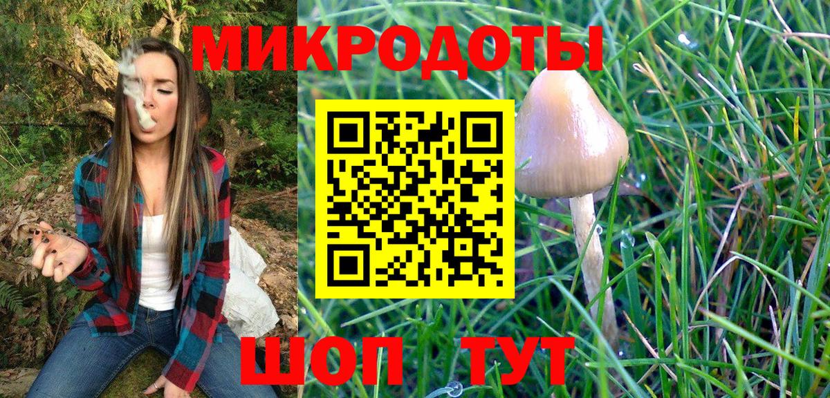 Псилоцибиновые грибы MAGIC MUSHROOMS  Вход с VPN  Ленинск-Кузнецкий 